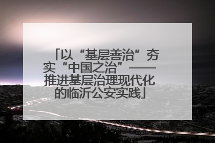 以“基层善治”夯实“中国之治”——推进基层治理现代化的临沂公安实践