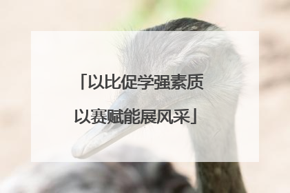 以比促学强素质 以赛赋能展风采
