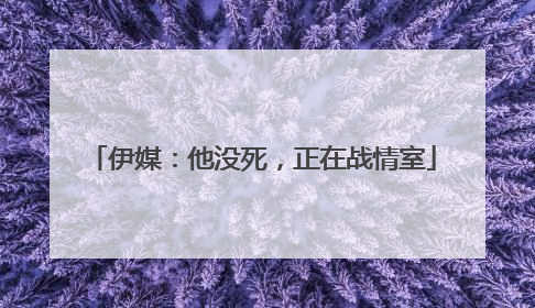 伊媒：他没死，正在战情室