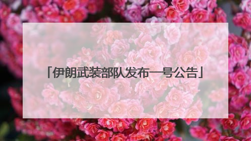 伊朗武装部队发布一号公告