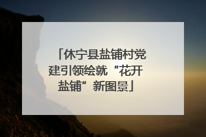 休宁县盐铺村党建引领绘就“花开盐铺”新图景