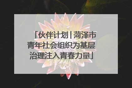 伙伴计划│菏泽市青年社会组织为基层治理注入青春力量