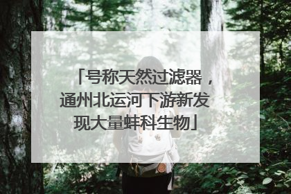 号称天然过滤器，通州北运河下游新发现大量蚌科生物