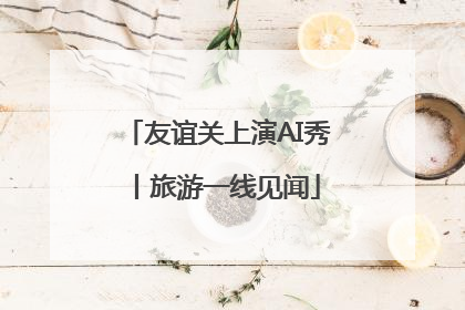 友谊关上演AI秀丨旅游一线见闻