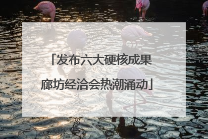 发布六大硬核成果 廊坊经洽会热潮涌动