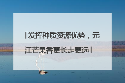 发挥种质资源优势，元江芒果香更长走更远