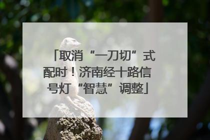 取消“一刀切”式配时！济南经十路信号灯“智慧”调整