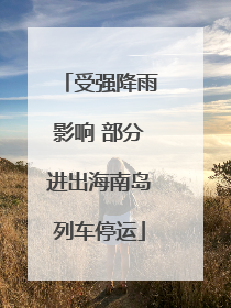 受强降雨影响 部分进出海南岛列车停运