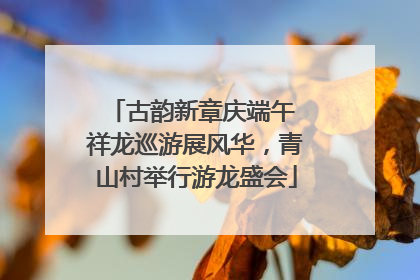 古韵新章庆端午 祥龙巡游展风华，青山村举行游龙盛会
