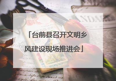 台前县召开文明乡风建设现场推进会