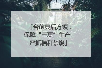 台前县后方镇：保障“三夏”生产 严抓秸秆禁烧