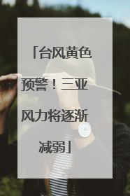 台风黄色预警！三亚风力将逐渐减弱