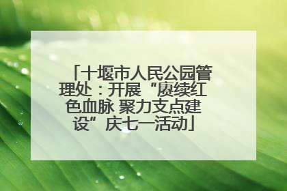 十堰市人民公园管理处：开展“赓续红色血脉 聚力支点建设”庆七一活动