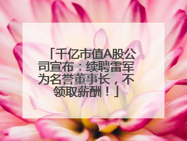 千亿市值A股公司宣布：续聘雷军为名誉董事长，不领取薪酬！
