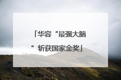 华容“最强大脑”斩获国家金奖