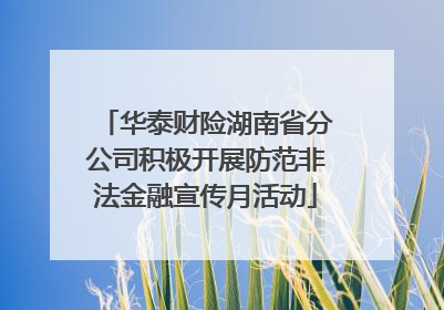 华泰财险湖南省分公司积极开展防范非法金融宣传月活动
