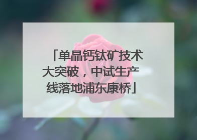 单晶钙钛矿技术大突破，中试生产线落地浦东康桥