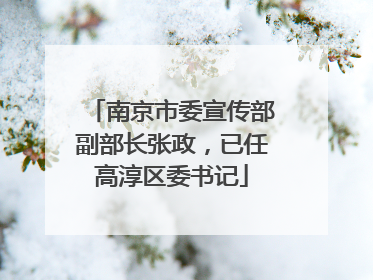 南京市委宣传部副部长张政，已任高淳区委书记