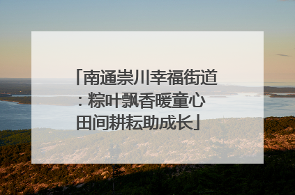 南通崇川幸福街道：粽叶飘香暖童心 田间耕耘助成长