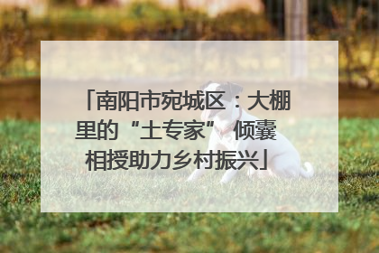 南阳市宛城区：大棚里的“土专家” 倾囊相授助力乡村振兴