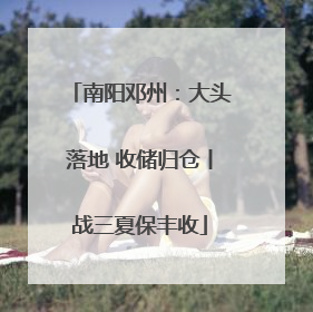 南阳邓州：大头落地 收储归仓丨战三夏保丰收