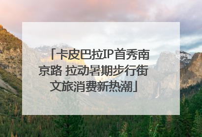 卡皮巴拉IP首秀南京路 拉动暑期步行街文旅消费新热潮