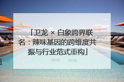 卫龙 × 白象跨界联名：辣味基因的跨维度共振与行业范式重构