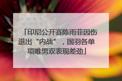 印尼公开赛陈雨菲因伤退出“内战”，国羽各单项唯男双表现差劲