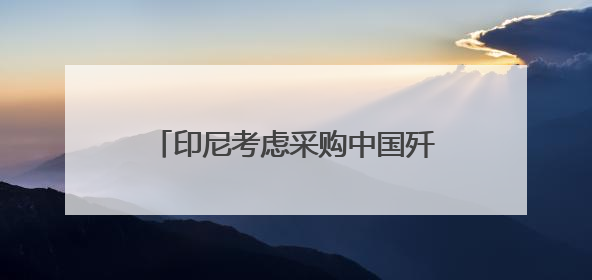 印尼考虑采购中国歼-10战斗机，可能还包括舰艇、护卫舰