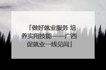 做好就业服务 培养实用技能——广西促就业一线见闻