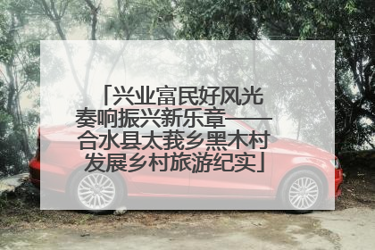 兴业富民好风光 奏响振兴新乐章——合水县太莪乡黑木村发展乡村旅游纪实