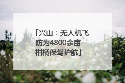 兴山：无人机飞防为4800余亩柑橘保驾护航