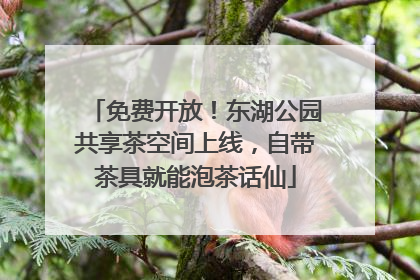 免费开放！东湖公园共享茶空间上线，自带茶具就能泡茶话仙