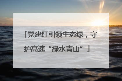 党建红引领生态绿，守护高速“绿水青山”