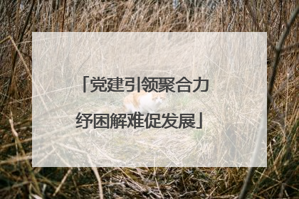党建引领聚合力 纾困解难促发展