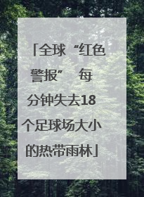 全球“红色警报”  每分钟失去18个足球场大小的热带雨林