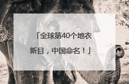 全球第40个地衣新目，中国命名！