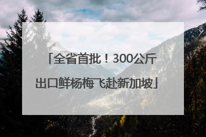 全省首批！300公斤出口鲜杨梅飞赴新加坡