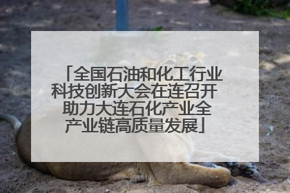 全国石油和化工行业科技创新大会在连召开 助力大连石化产业全产业链高质量发展