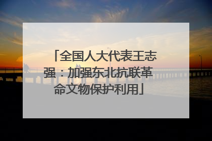 全国人大代表王志强：加强东北抗联革命文物保护利用