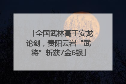 全国武林高手安龙论剑，贵阳云岩“武将”斩获7金6银