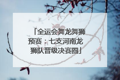 全运会舞龙舞狮预赛：七支河南龙狮队晋级决赛圈