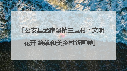 公安县孟家溪镇三袁村：文明花开 绘就和美乡村新画卷