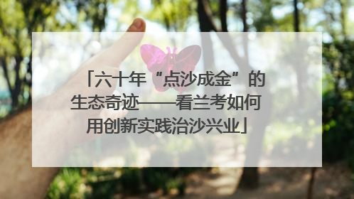 六十年“点沙成金”的生态奇迹——看兰考如何用创新实践治沙兴业