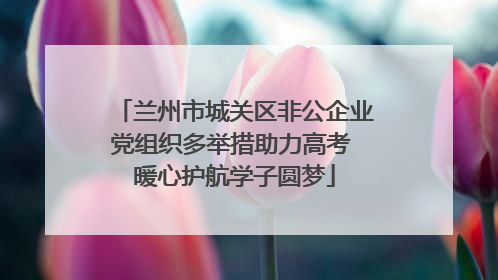 兰州市城关区非公企业党组织多举措助力高考 暖心护航学子圆梦
