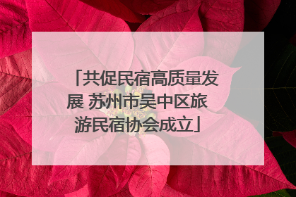 共促民宿高质量发展 苏州市吴中区旅游民宿协会成立