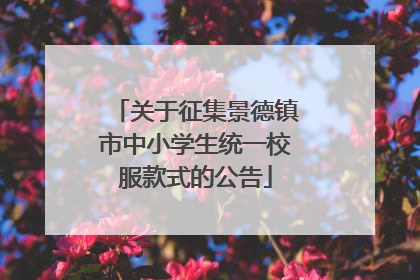 关于征集景德镇市中小学生统一校服款式的公告