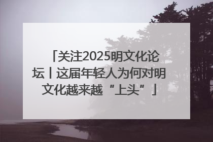 关注2025明文化论坛丨这届年轻人为何对明文化越来越“上头”