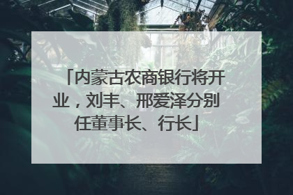 内蒙古农商银行将开业，刘丰、邢爱泽分别任董事长、行长
