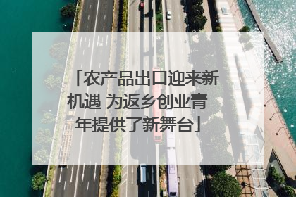 农产品出口迎来新机遇 为返乡创业青年提供了新舞台